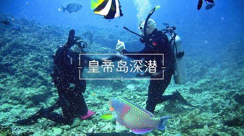 黑暗之魂