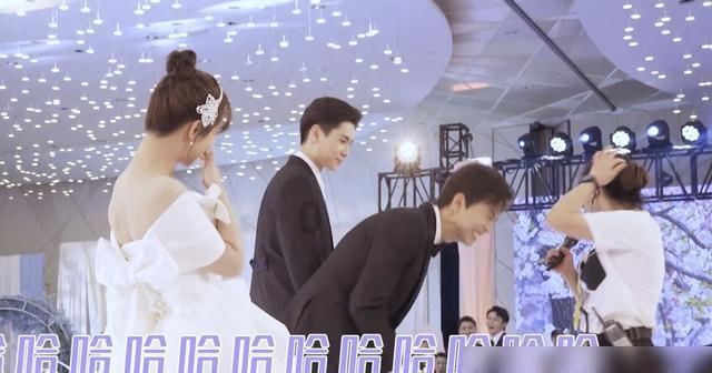 金钗石斛和铁皮石斛都是什么价格？